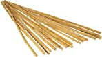 Bamboo Stakes