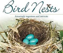 Bird Nests