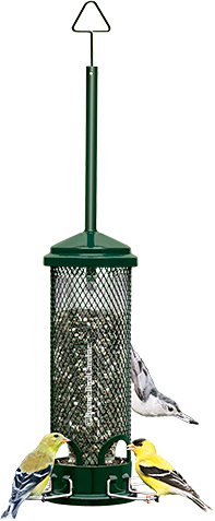 Squirrel Buster Feeders