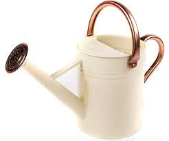 Watering Can 1 Gal