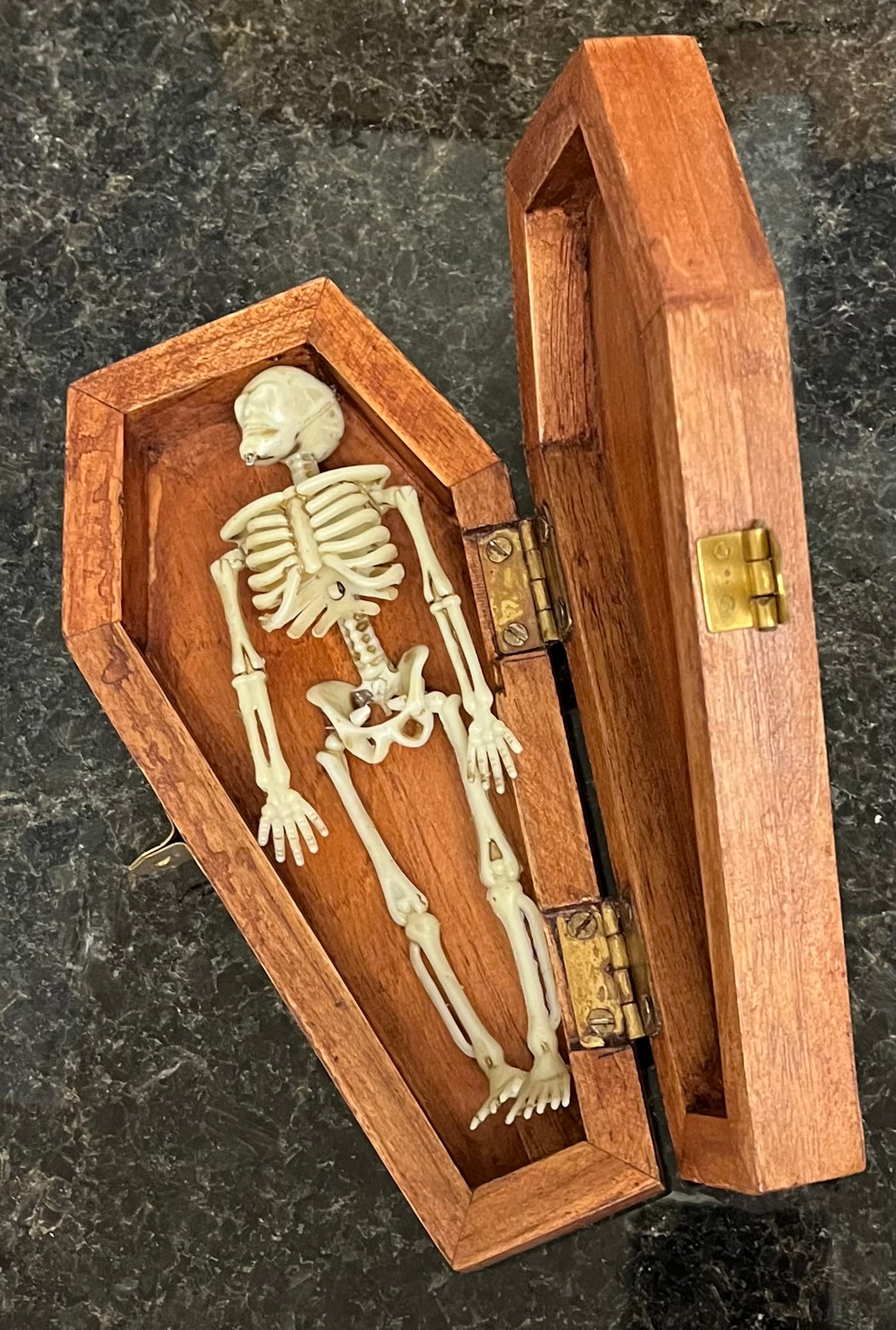 MB 7" Coffin Box With Skeleton