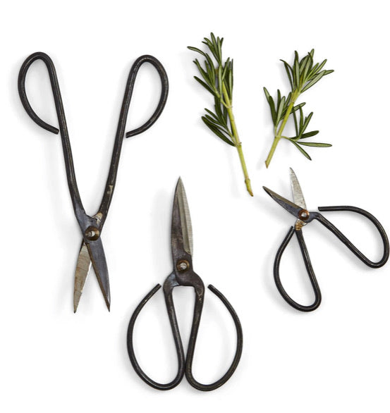 Forged Iron Herb Snips