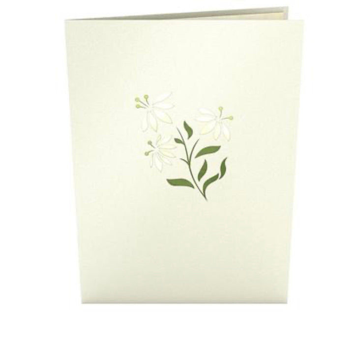 Lovepop Card White Flower Basket