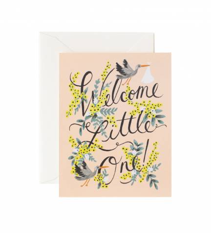 Rifle Paper Greeting Cards